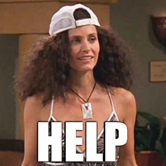 Monica Friends it's the humidity